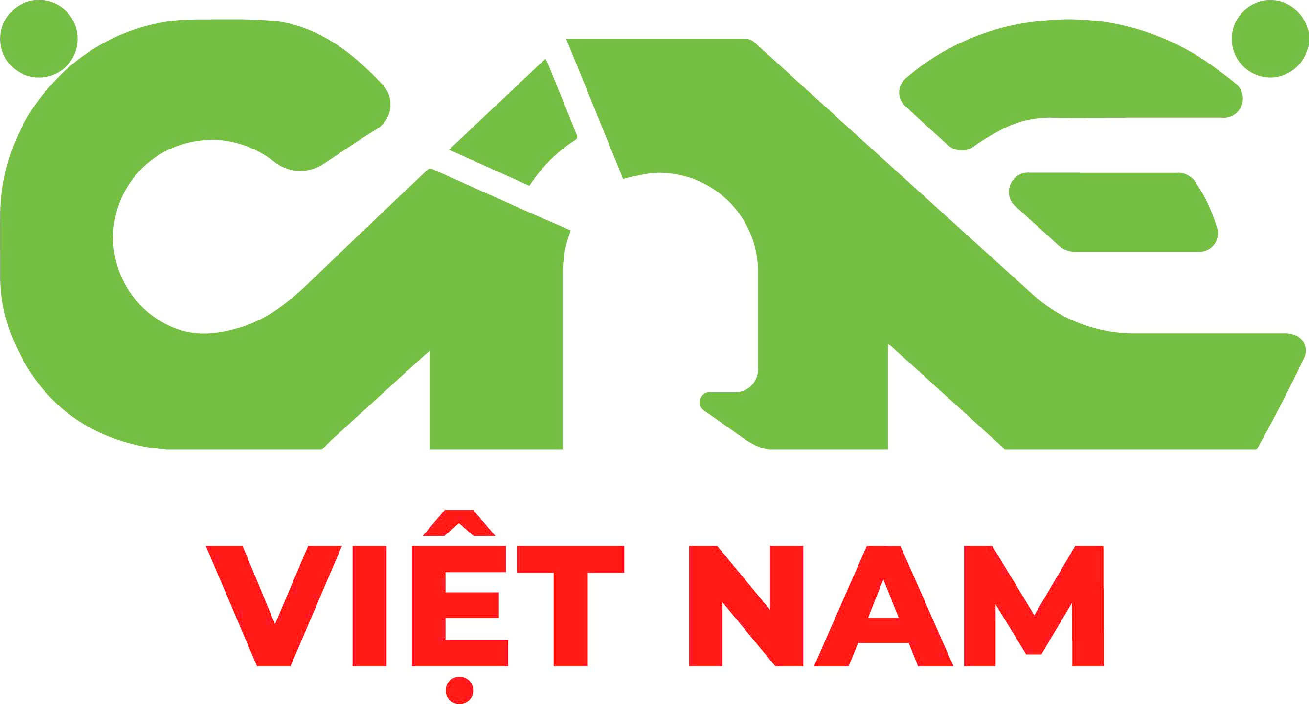 CAE Việt Nam